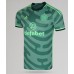 Celtic Tomoki Iwata #24 Replica Third Shirt 2023-24 Short Sleeve